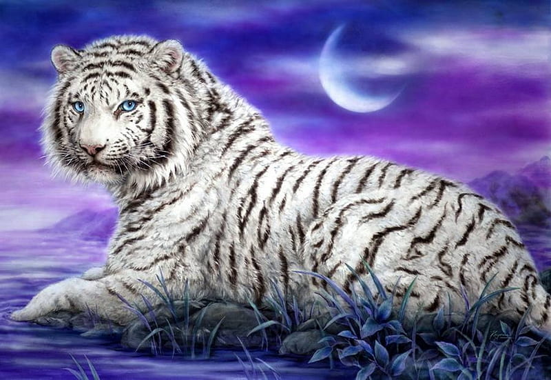 Tiger's Night, moon, painting, resting, white, sky, artwork, HD wallpaper