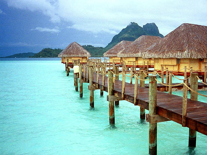 tropical beach resort background