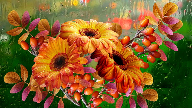 Beautiful Flowers, rain, Flowers, Autumn, Bouquet, HD wallpaper
