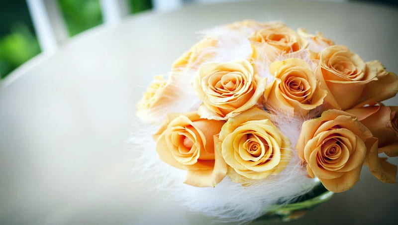 ❀⚘Soft Orange Roses⚘❀, smile, aroma, delicate, sweet, in love, charming, alluring, tenderness, friendship, bright, petals, union, HD wallpaper