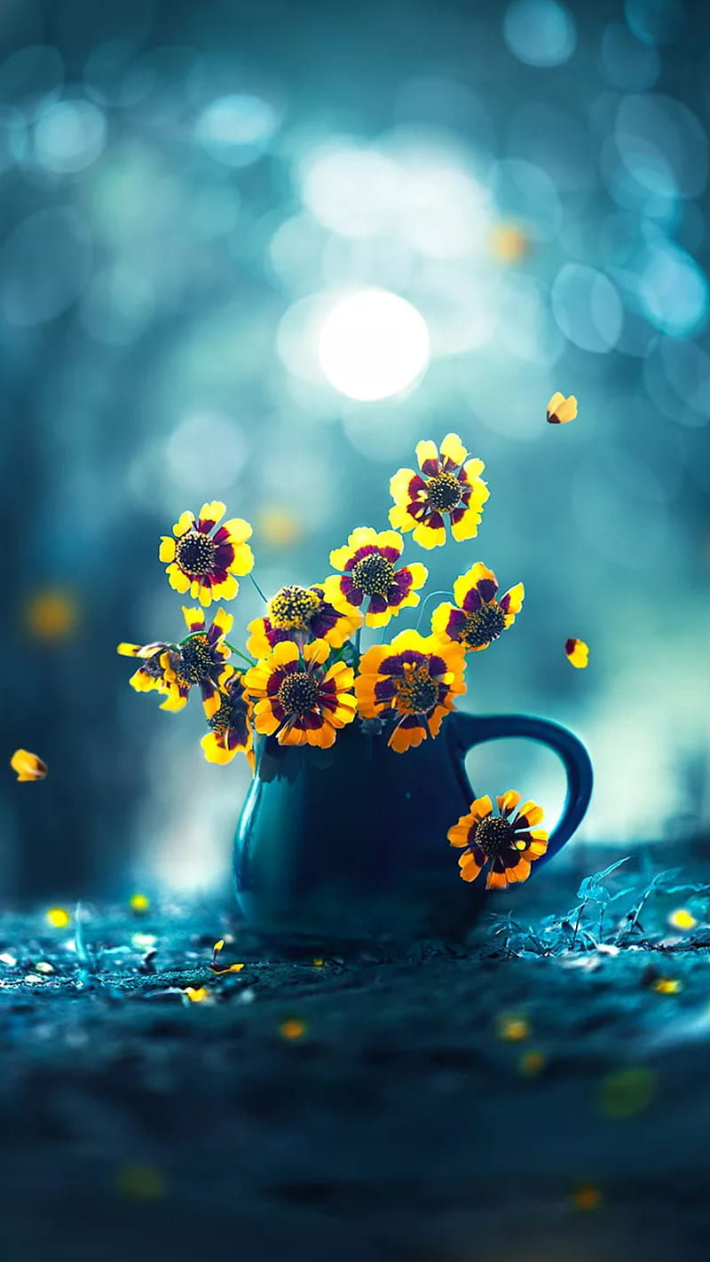 Flowers, floral, flower, nature, sparkle, yellow, HD phone wallpaper