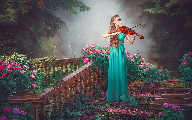 Rose Violin Serenade , violin, lovely, music, roses, Fantasy, enchanting, feminine, garden, sweetness, Woman, HD wallpaper
