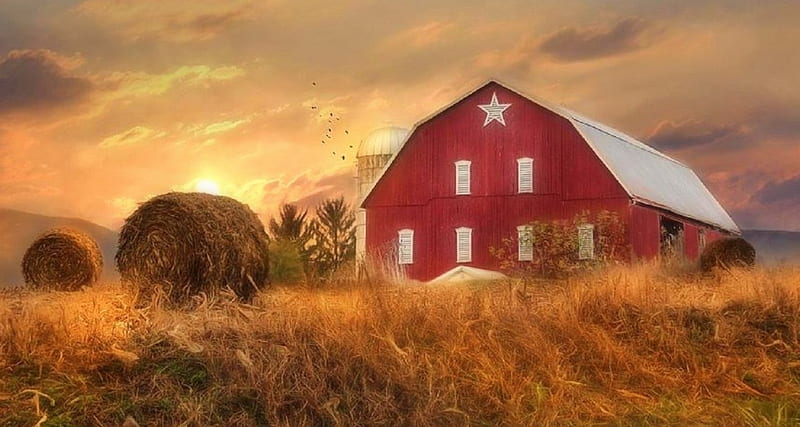 farm barn wallpaper