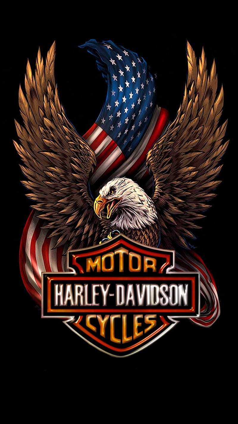 Usa Harley Davidson, patriotic, biker, HD phone wallpaper | Peakpx