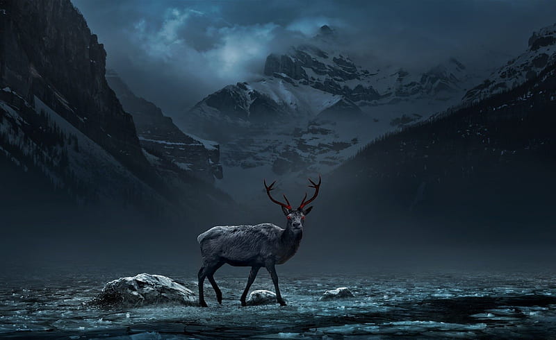 Red Eye, mountain, eyes, deer, animal, HD wallpaper