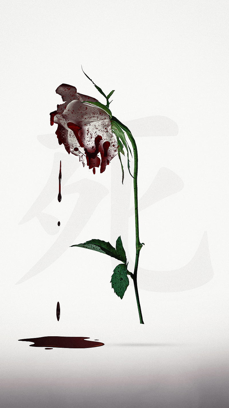 White Rose, Abstract, Anime, Art, Death, Flowers, Manga, Tokyo Ghoul, love,  HD phone wallpaper | Peakpx