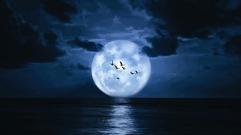 Super Moon Above The Sea, moon, birds, nature, clouds, sea, night, HD wallpaper