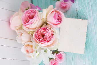 pink roses, postcard, beautiful flowers, pink flowers, rose, roses, HD wallpaper