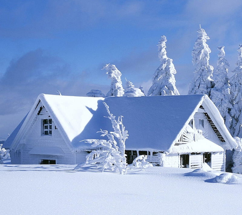Snow Fall, house, HD wallpaper