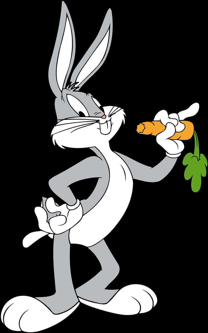 26 Bugs Bunny Cartoon Wallpapers  WallpaperSafari