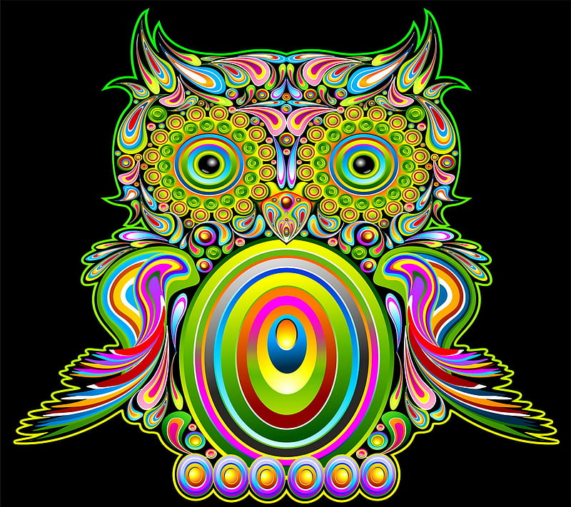 Colorful Owl, abstract vector, background, colored owl, HD wallpaper