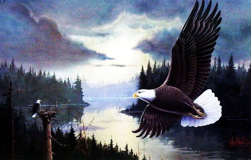 Bald Eagle Homestead, forest, eagles, nest, painting, river, artwork, pair, HD wallpaper