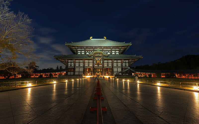Todai-JI buddhist temple, japanese cities, Nara, japan, Asia, nightscapes, HD wallpaper