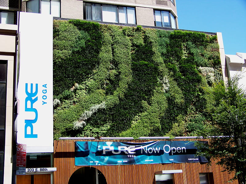 Green Living Wall, by Green Living Technologies, NYC, greenroofs, green living technologies, livingwall, green wall, HD wallpaper