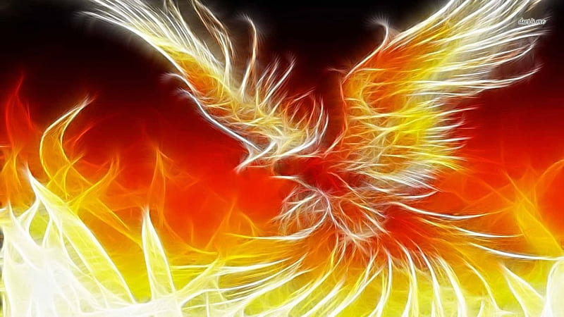 Flying Phoenix, orange, myth, yellow, Phoenix, firebird, HD wallpaper