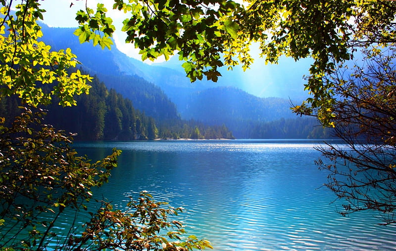 Tovel Lake, Italy, morning light, Alps, forest, bonito, trees, lake, mountains, blue water, branches, HD wallpaper