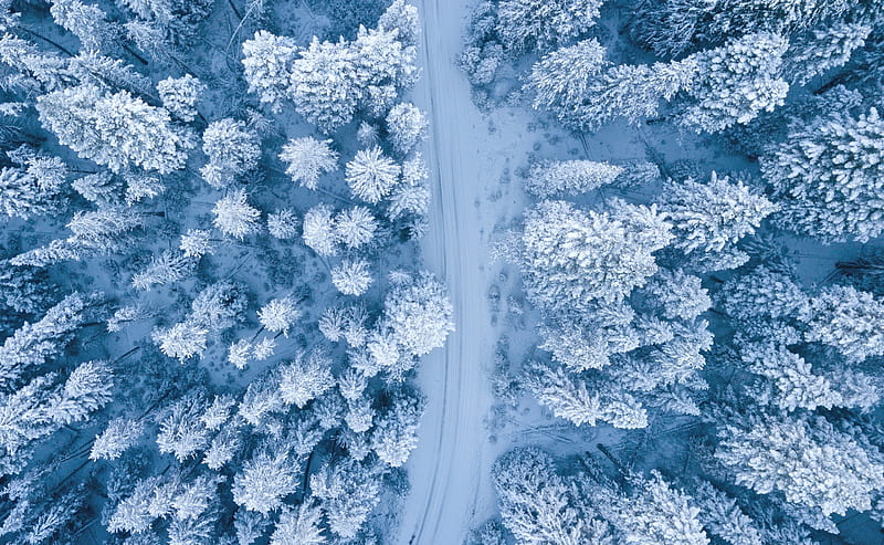Road, Snowy Forest Trees, Winter Ultra, Seasons, Winter, View, Trees, Road, Snow, Aerial, HD wallpaper