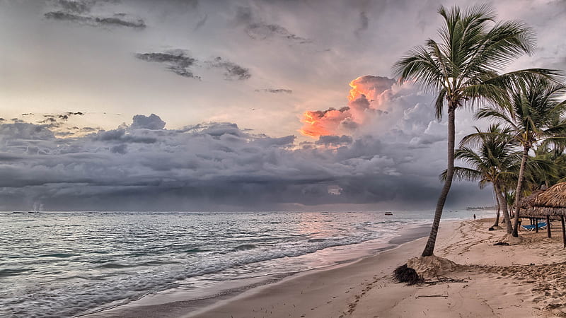 Passing storm, dramatic, waves, sky, clouds, stormy, weather, palms, beach, sand, nature, HD wallpaper