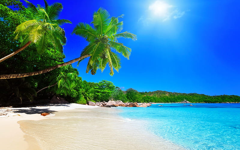 Tropical beach, sea, sands, palms, vacation, sun, ocean, bonito, sky, beach, paradise, island, tropical, coast, HD wallpaper