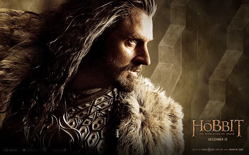 Movie, The Lord Of The Rings, The Hobbit: The Desolation Of Smaug, HD wallpaper