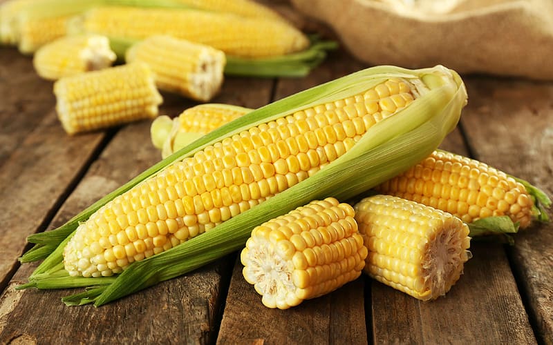Food, Corn, HD wallpaper