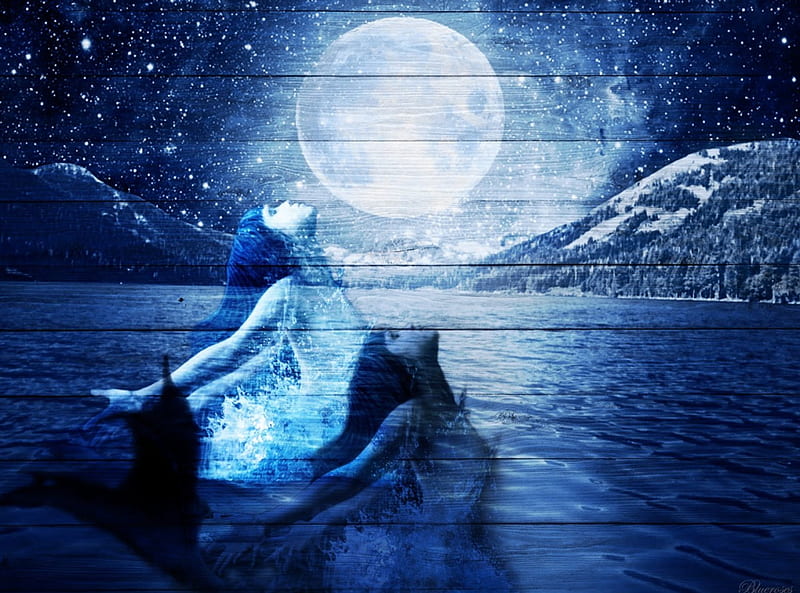 Don't try to change me..., world, wooden background, mermaid, sea, fantasy, moon, moonlight, blue, night, HD wallpaper