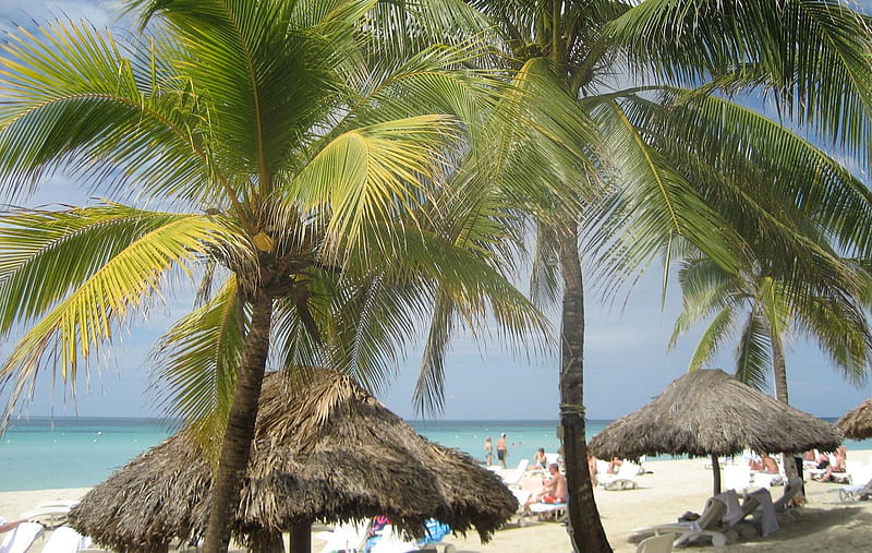 Jamaica Beach, beach, palm, jamaica, negril, HD wallpaper Jamaica Beach, beach, palm, jamaica, negril, HD wallpaper