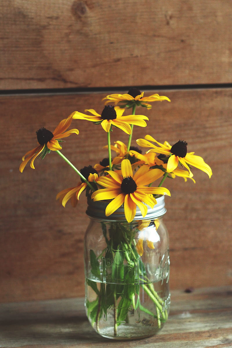 yellow sunflowers in Mason jar, HD phone wallpaper