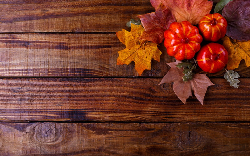 Happy Autumn!, red, autumn, orange, brown, toamna, wood, card, leaf, pumpkin, HD wallpaper
