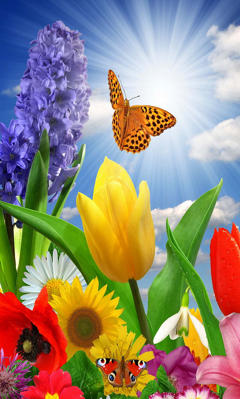 Flora Sky, butterfly, flowers, light, sky, HD phone wallpaper