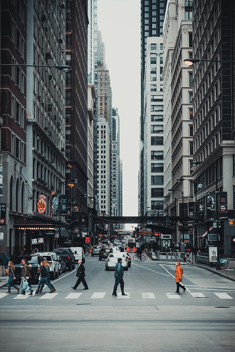 people crossing on gray asphalt road in the city during daytime, HD phone wallpaper