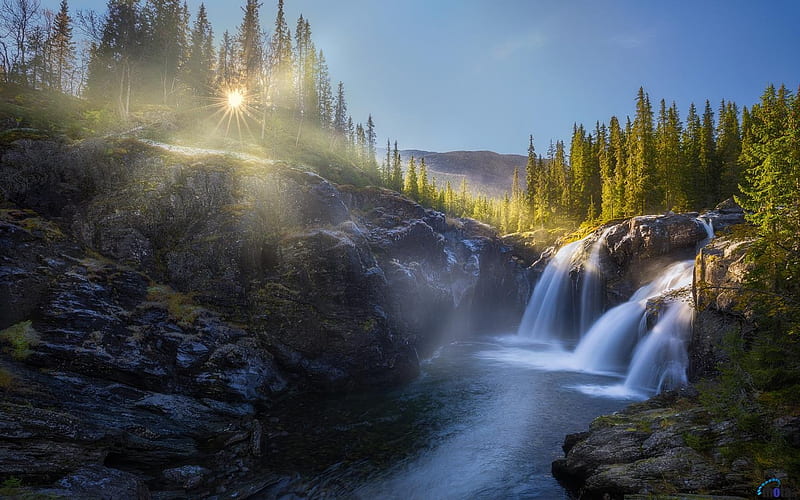 Waterfall in Sunrise, forest, waterfall, river, sunrise, trees, HD ...