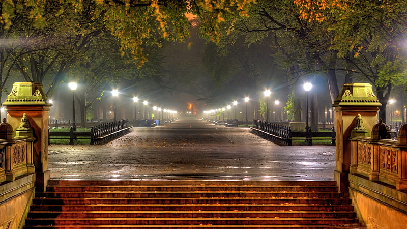 Central Park at Night, pretty, Park, Autumn, Night, HD wallpaper