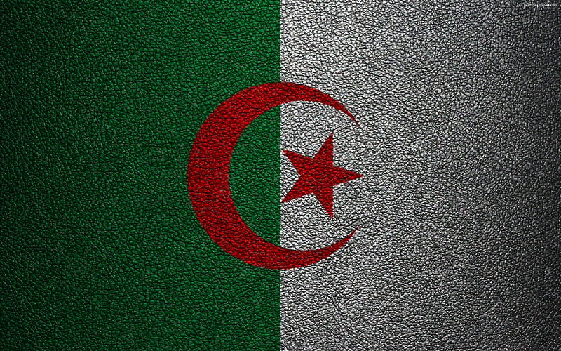 Flag of Algeria, leather texture Algerian flag, Africa, flags of the world, African flags, Algeria, HD wallpaper