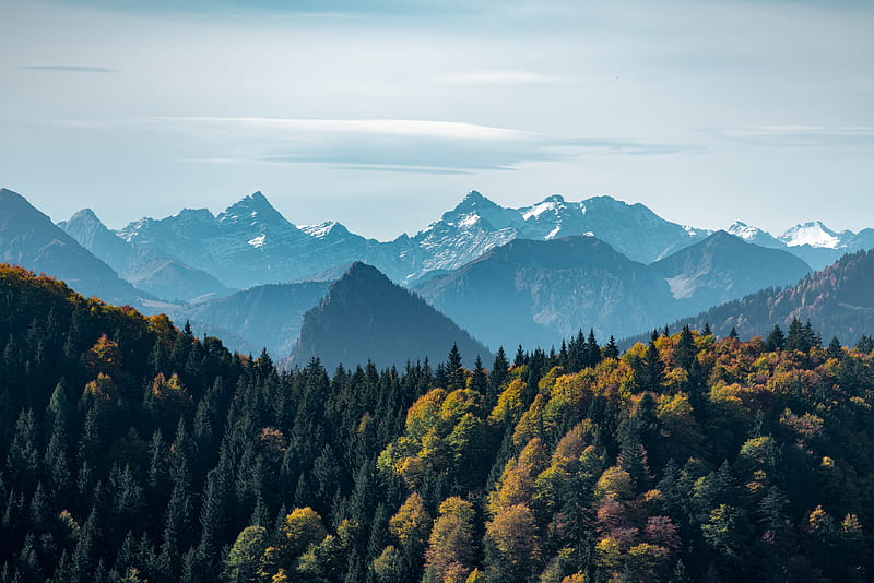 mountains, forest, peaks, fog, landscape, HD wallpaper