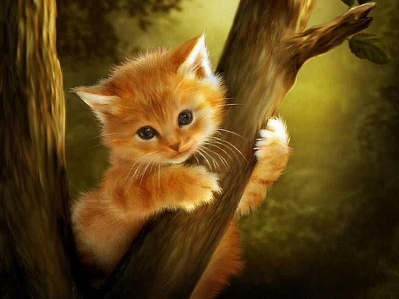 Nice cat, tree, feline, nature, cat, kitten, animal, HD wallpaper