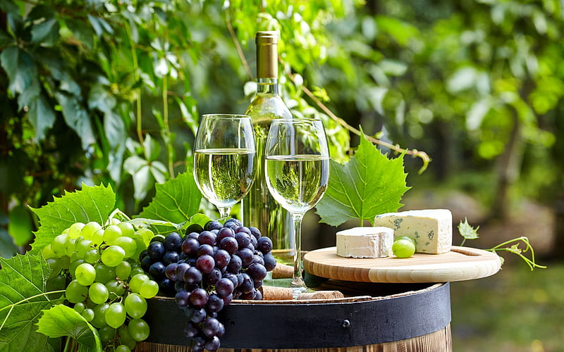 white wine, grapes, wooden barrel, autumn, French cheese, HD wallpaper