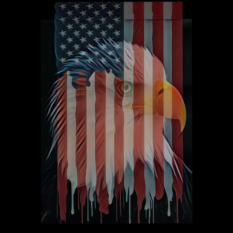 Americas eagle, usa, americans, bird, eagle, patriotic, nationalist, HD  phone wallpaper | Peakpx