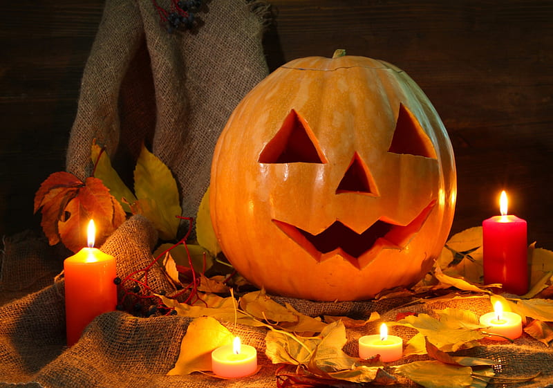 Halloween Still Life, burlap, Fall, still life, leaves, jack o lantern, pumpkin, Autumn, candles, HD wallpaper