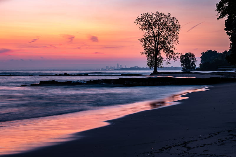 beach, coast, tree, dusk, dark, HD wallpaper