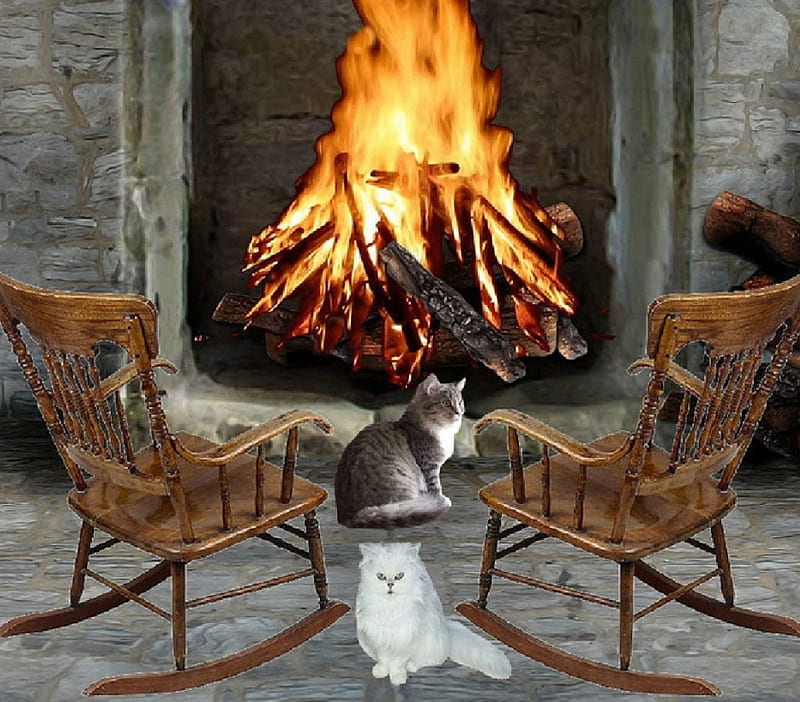 by the fireplace, fireplace, collage, cats, animals, HD wallpaper