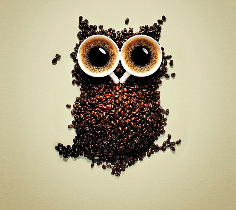 funny coffee owl, galaxy, samsung, HD wallpaper
