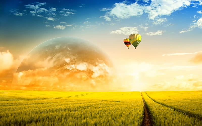 Hot air balloon ride, nature, space, air balloon, field, HD wallpaper