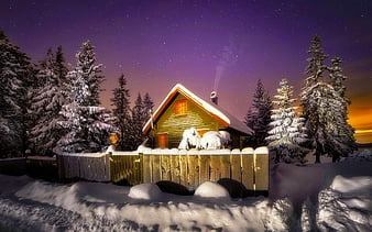 Winter night, snow, night, winter, moon, bonito, evening, HD