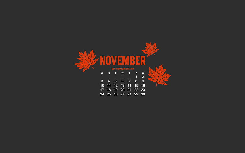 2019 November Calendar, minimalism style, gray background, autumn, 2019 calendars, Gray 2019 November Calendar, creative art, HD wallpaper