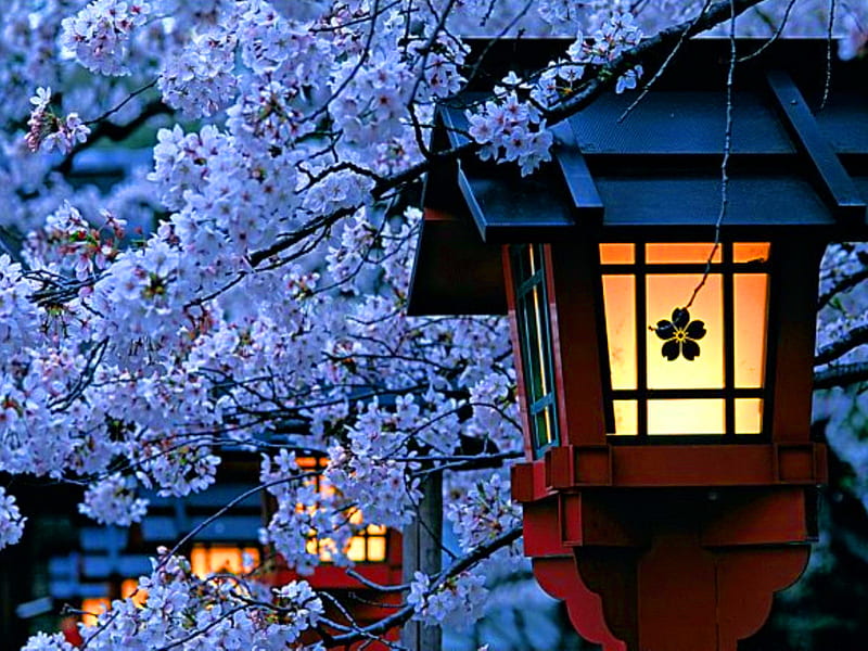 Blue Japanese Cherry Blossom Sakura Branches Stock Vector Royalty Free  1123766249  Shutterstock