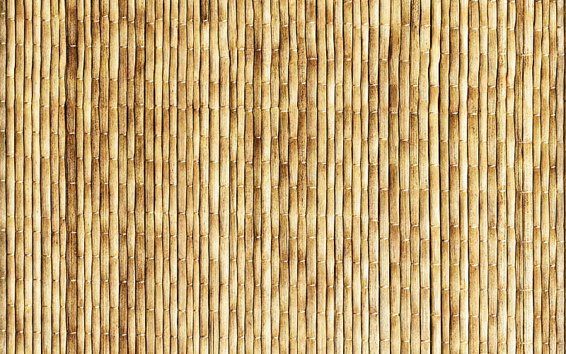 vertical bamboo sticks, close-up, brown bamboo, bamboo canes, bamboo sticks, bambusoideae sticks, bamboo, wooden textures, macro, background with bamboo, HD wallpaper