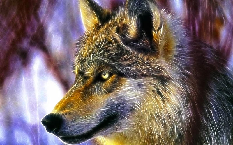 Beautiful Wolf, wolf, fur, animals, wild, HD wallpaper