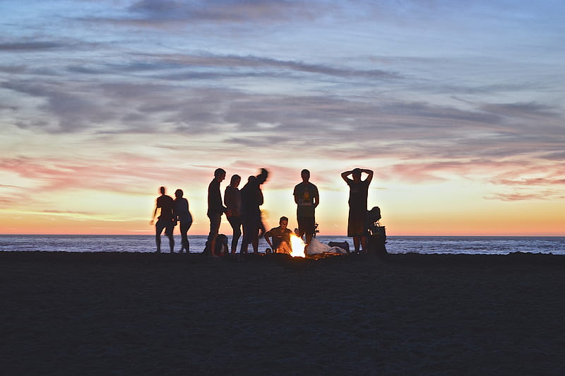 group of people setting up campfire, HD wallpaper
