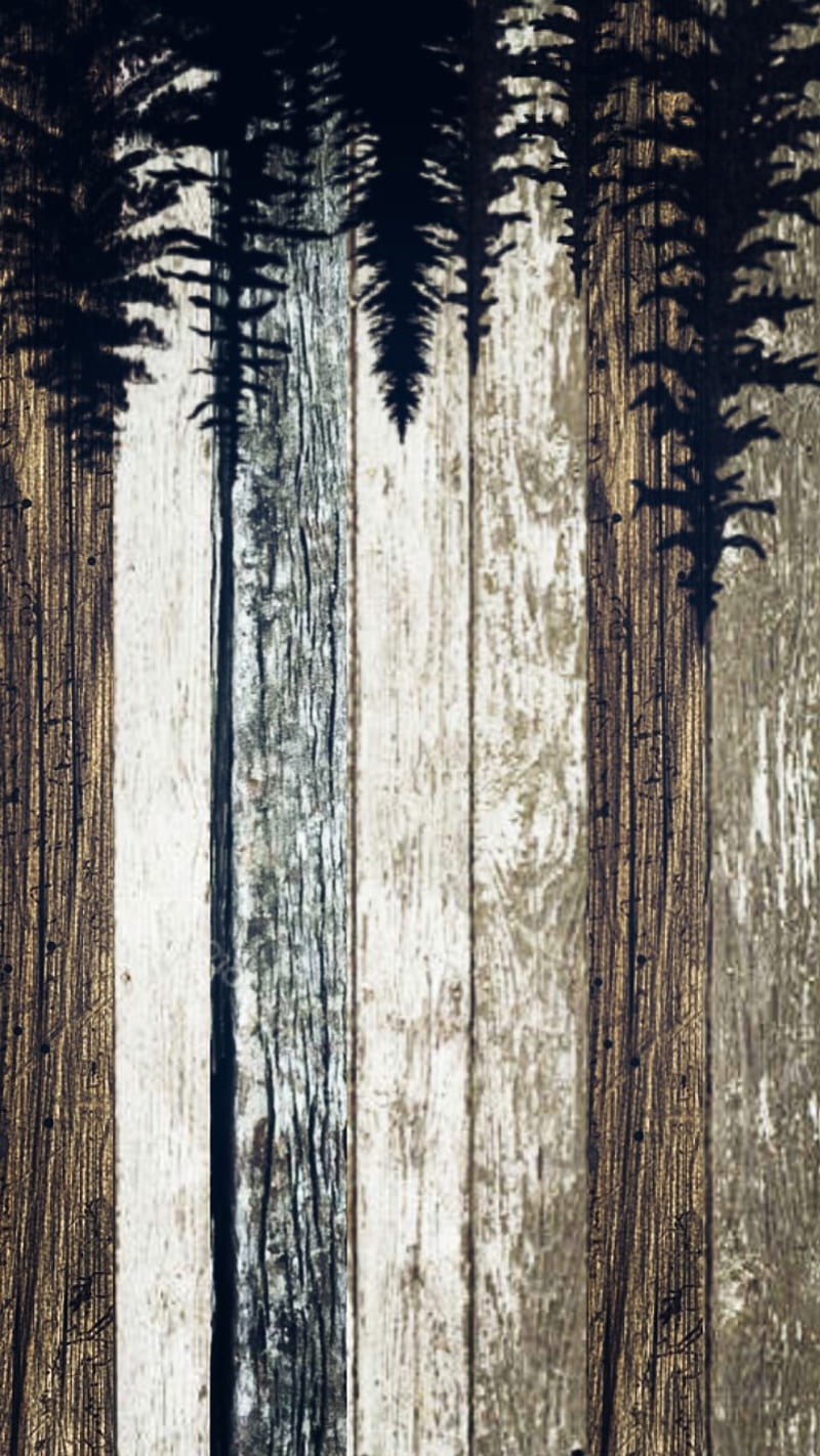 Quebec , nature, wood, bushcraft, HD phone wallpaper